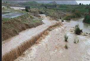 خسارت ۱۵ میلیارد ریالی باران به مزارع اندیمشک