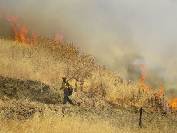 تغییر اقلیم خطری جدی برای آتش سوزی مراتع و جنگل ها است