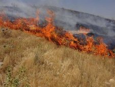 ۱۰۰ هکتار از مزارع گندم اندیمشک در آتش سوخت
