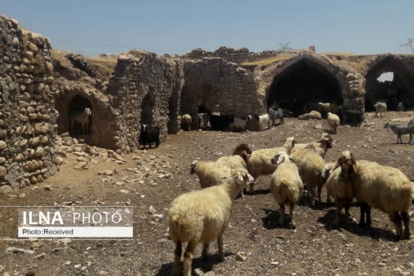 تغییر کاربری قلعه کاروانسرای رزه اندیمشک به سرپناهی برای احشام