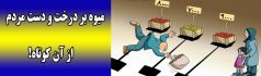 میوه بر درخت و دست مردم از آن کوتاه!