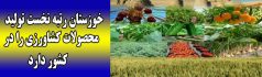 خوزستان رتبه نخست تولیدمحصولات کشاورزی را در کشور دارد