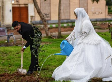 آغاز زندگی مشترک زوج اندیمشکی با کاشت درخت
