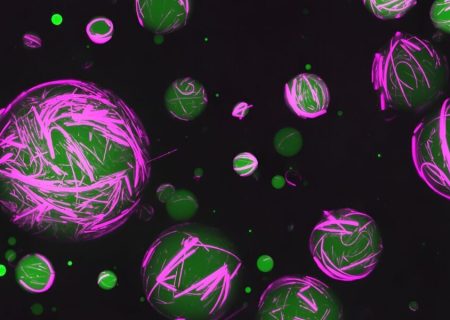 رویکرد نوآورانه محققان: تلاش برای ساخت سلول‌های مصنوعی که مانند سلول‌‌های زنده عمل کنند