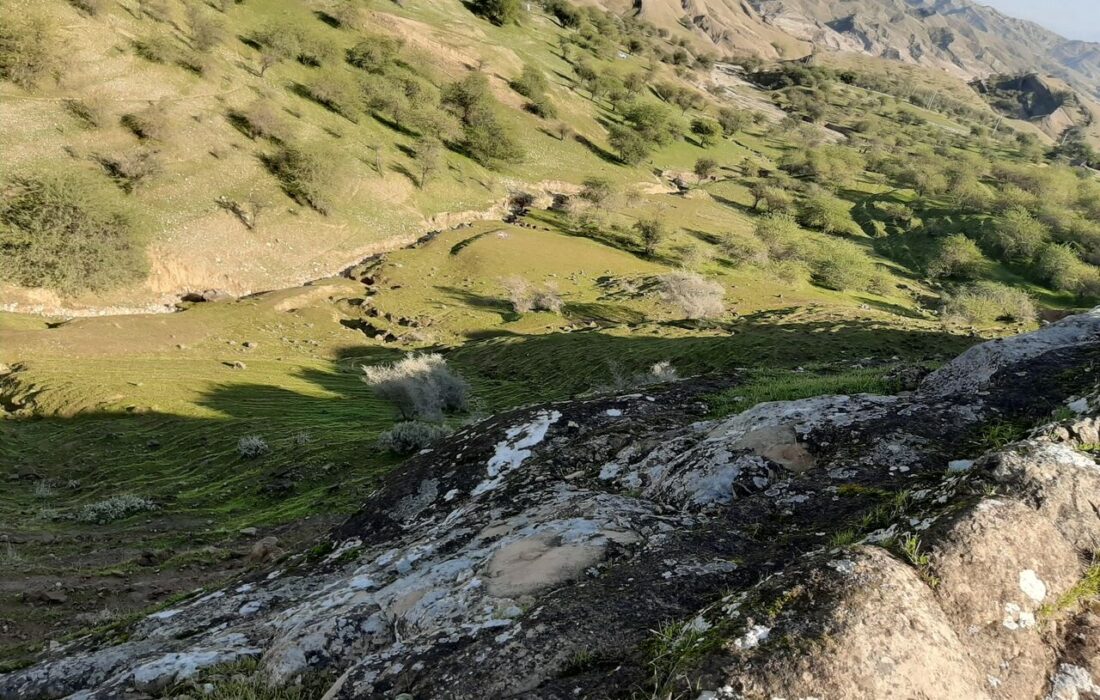 برقرار آبرسانی به آبشخورهای حیات‌وحش «چهل‌پا» اندیمشک