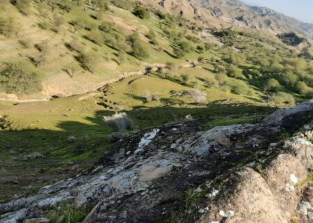 برقرار آبرسانی به آبشخورهای حیات‌وحش «چهل‌پا» اندیمشک